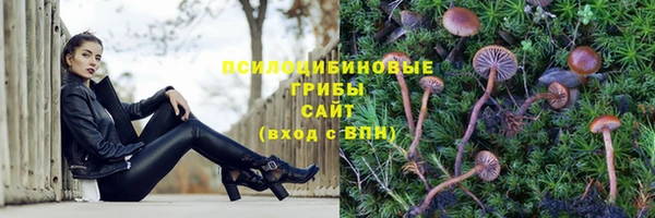 амф Абдулино
