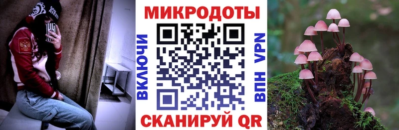 кракен зеркало  Зеленодольск  Галлюциногенные грибы мицелий  где найти  
