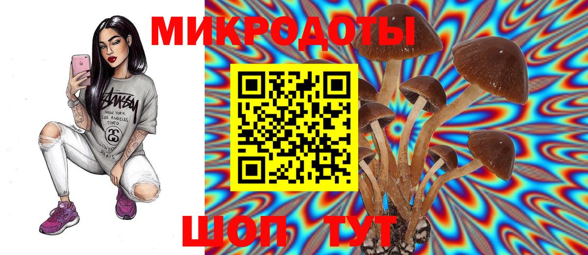 Псилоцибиновые грибы Cubensis  Вход с VPN  Зеленодольск 